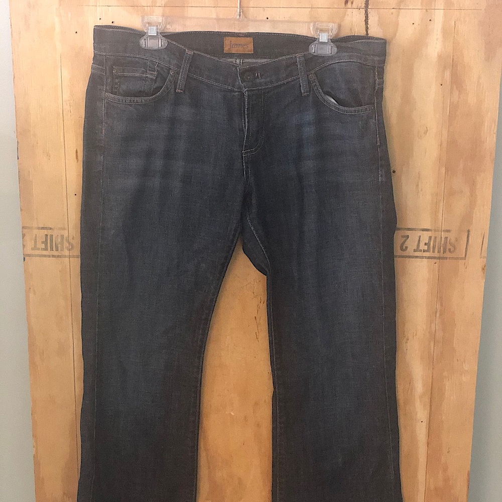 Dark wash James Jeans size 31